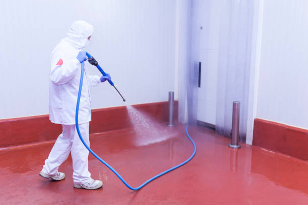 Best Paint Preparation  in Honey Grove, TX
